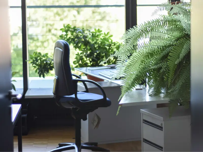 Reinigungsfirma München